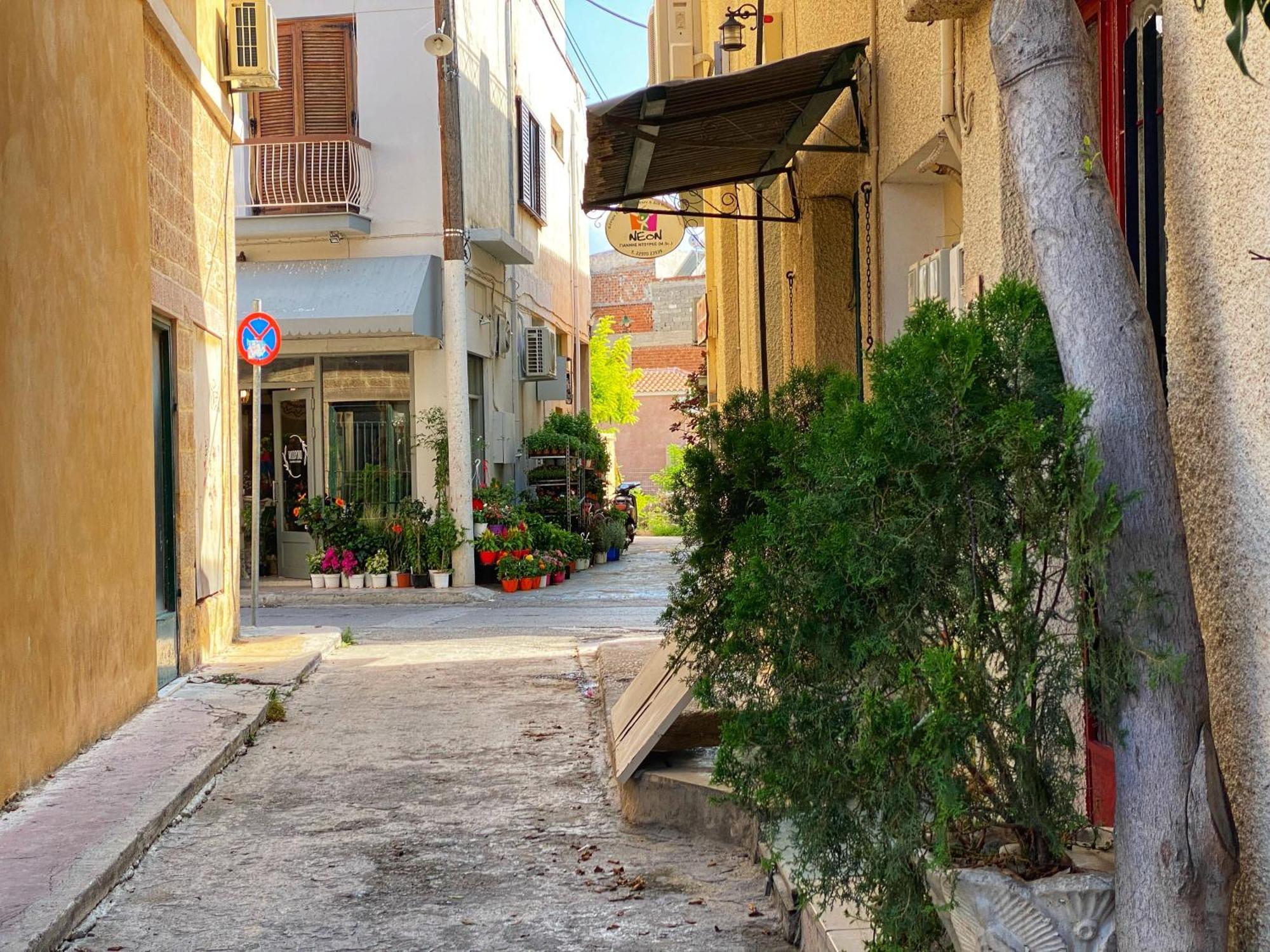Apartment Nasos *